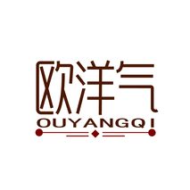 欧洋气
