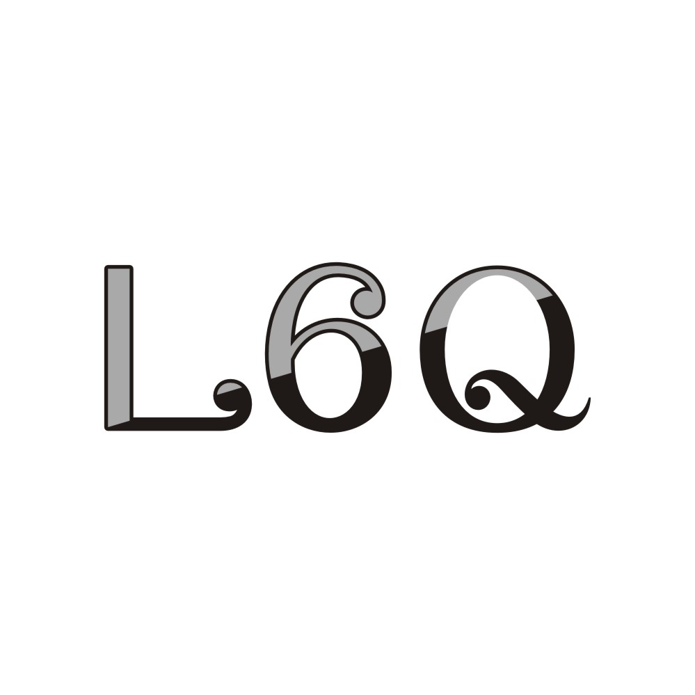 L6Q