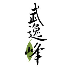 武逸峰