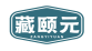 藏颐元