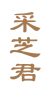 采芝君