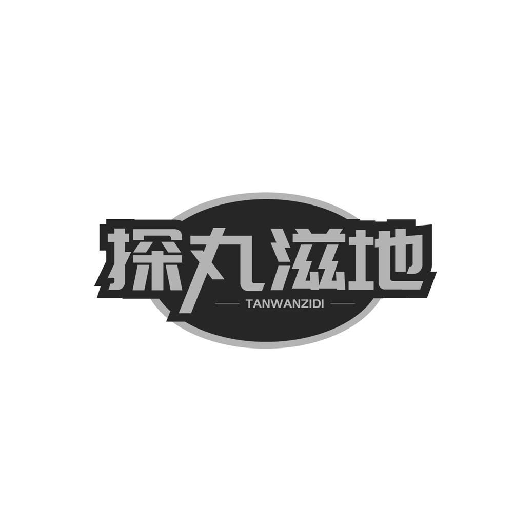 探丸滋地