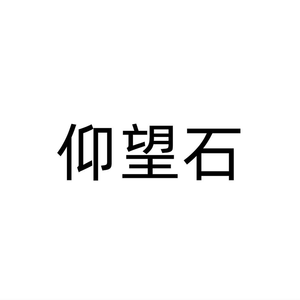 仰望石