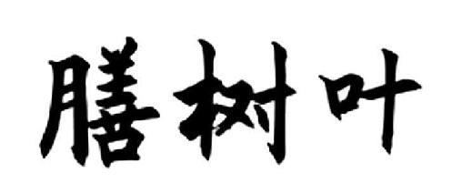 膳树叶