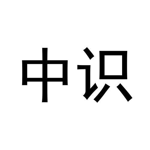 中识