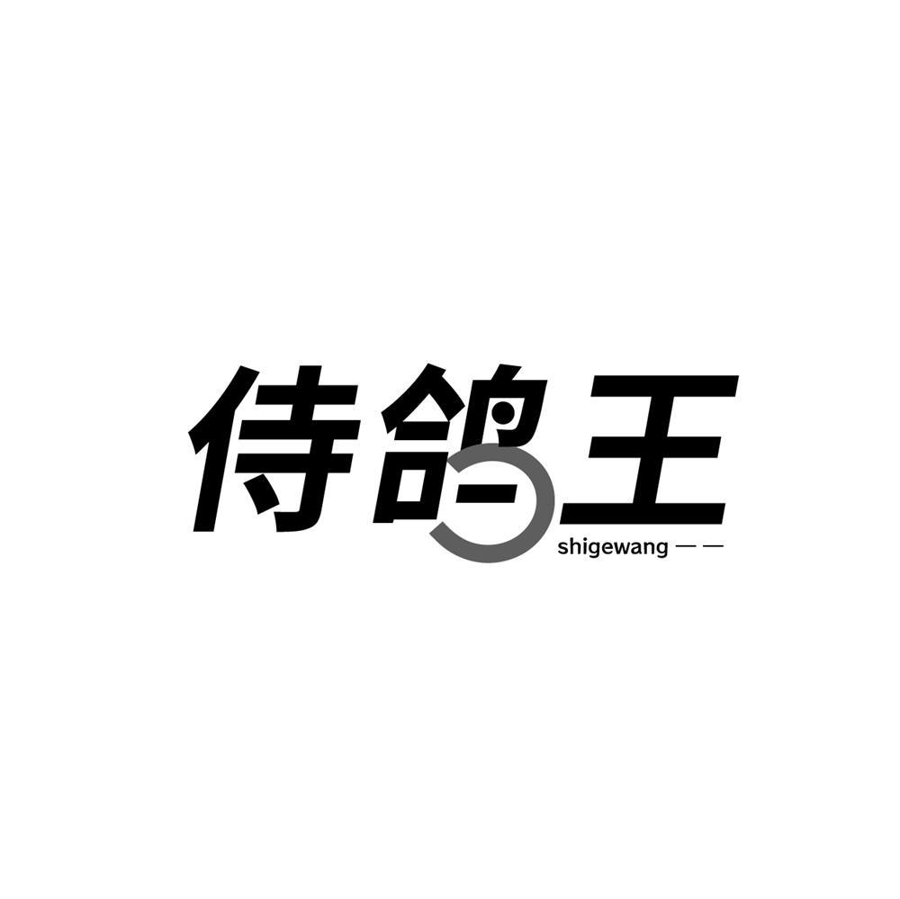 侍鸽王