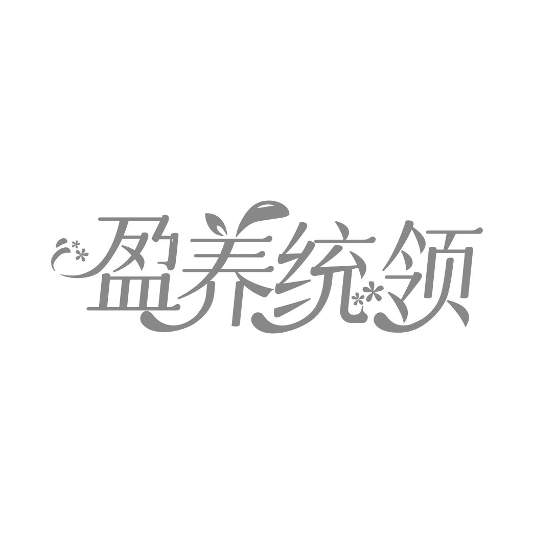 盈养统领