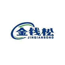 金钱松