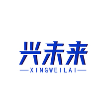 兴未来