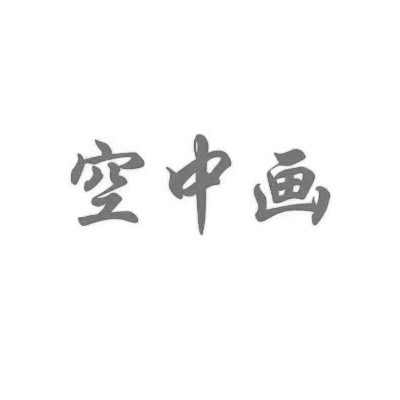 空中画