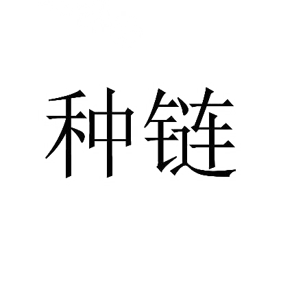 种链