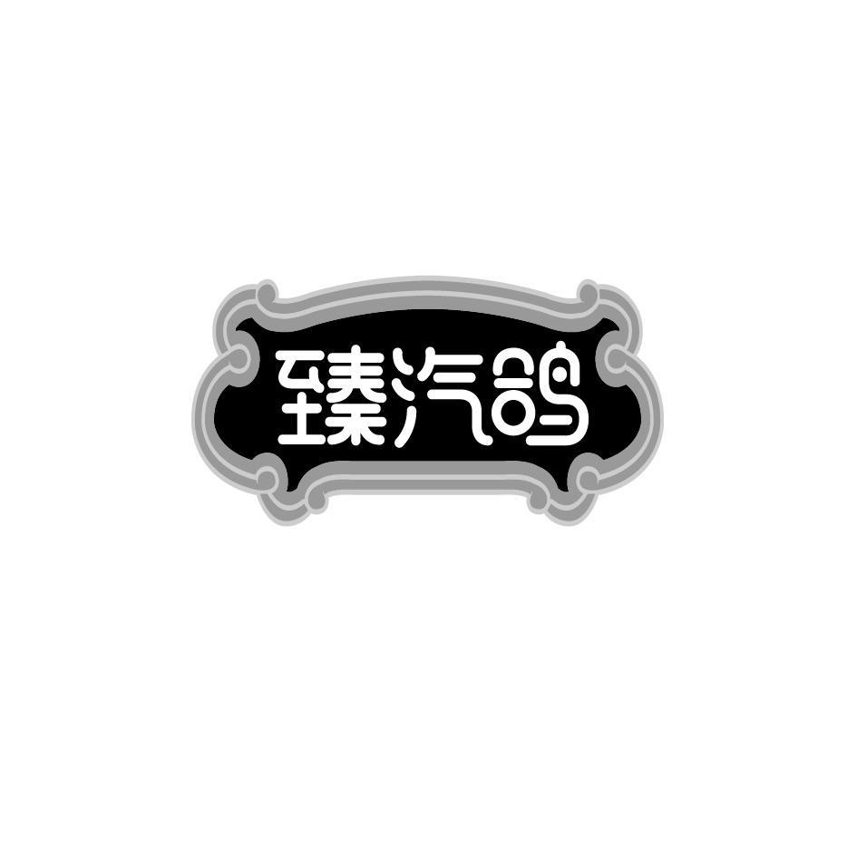 臻汽鸽