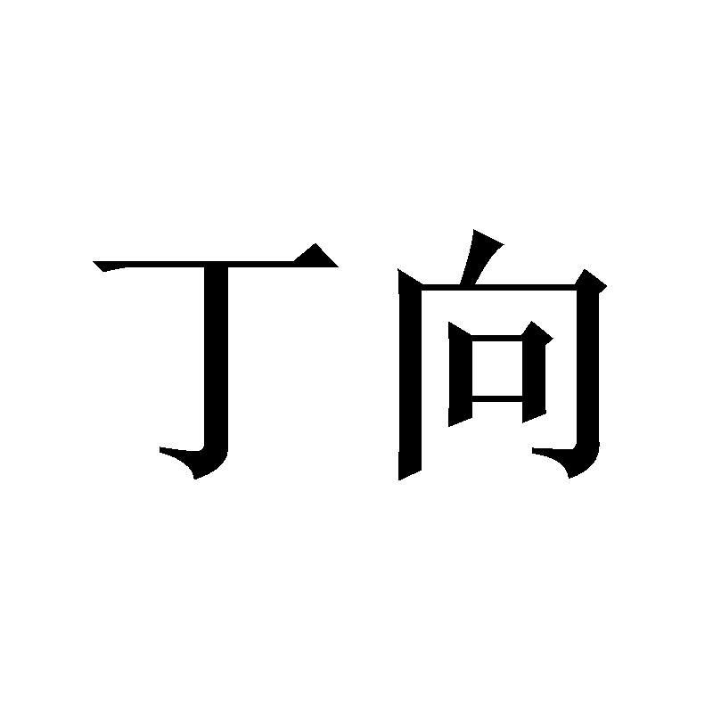 丁向