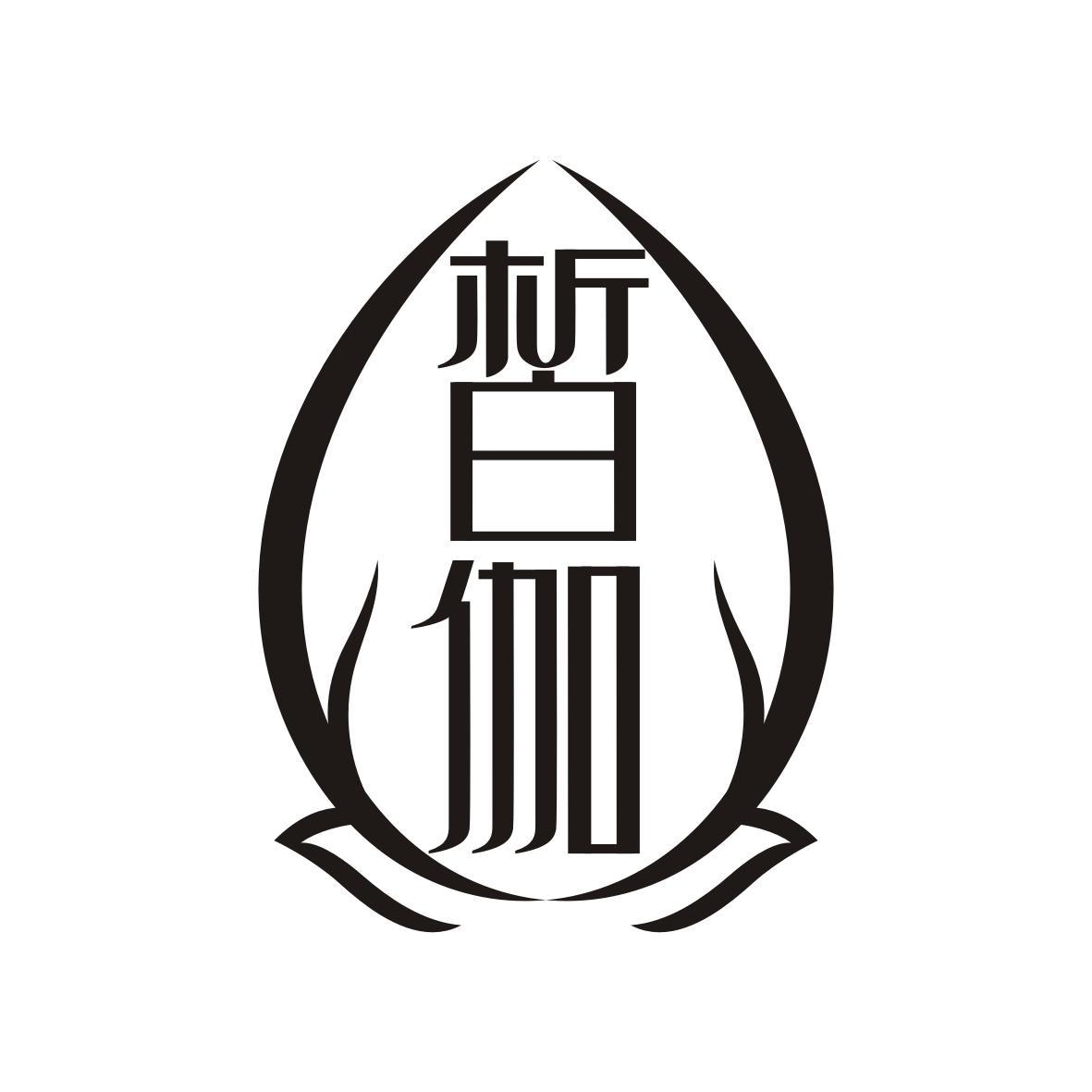 皙伽