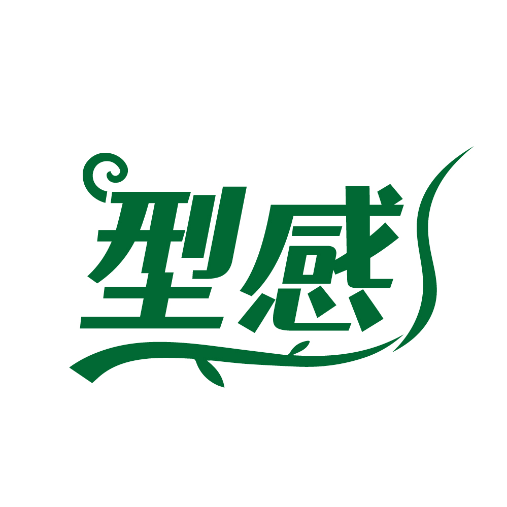 型感