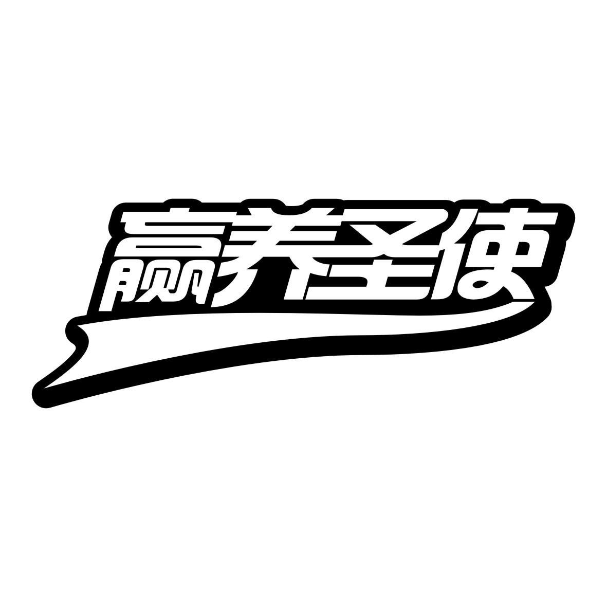 赢养圣使