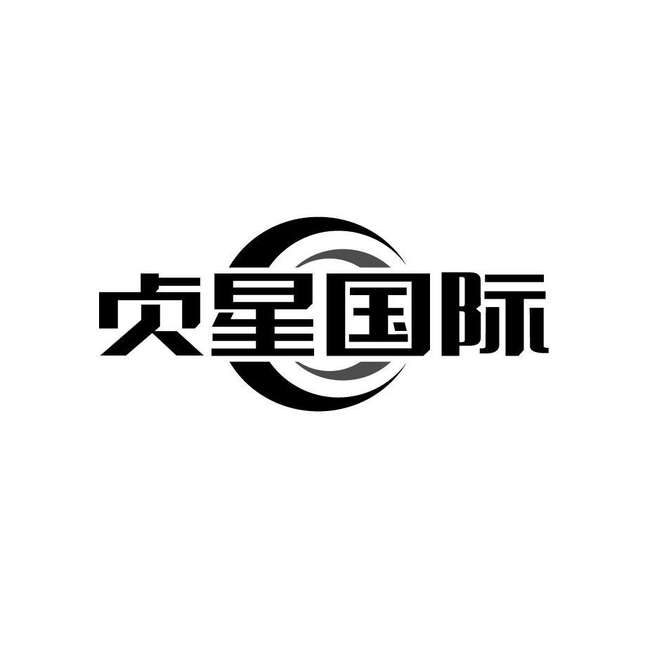 贞星国际