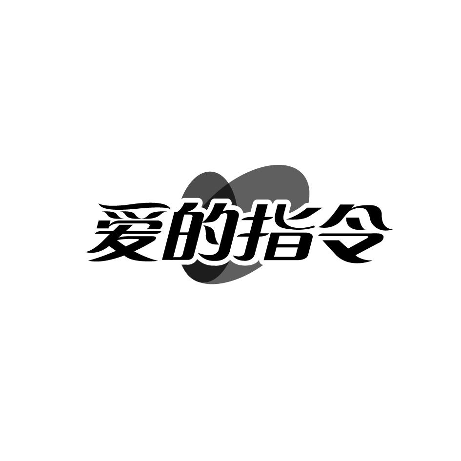 爱的指令