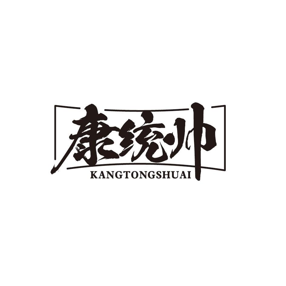 康统帅