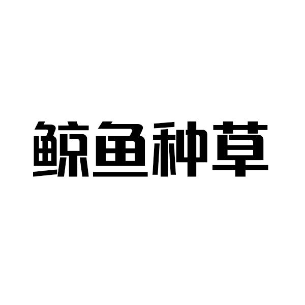 鲸鱼种草