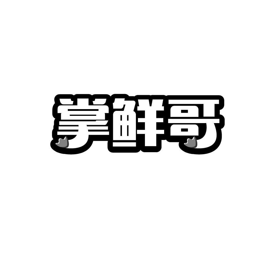 掌鲜哥