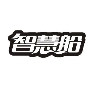 智慧船