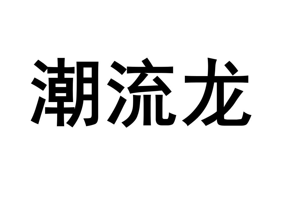 潮流龙