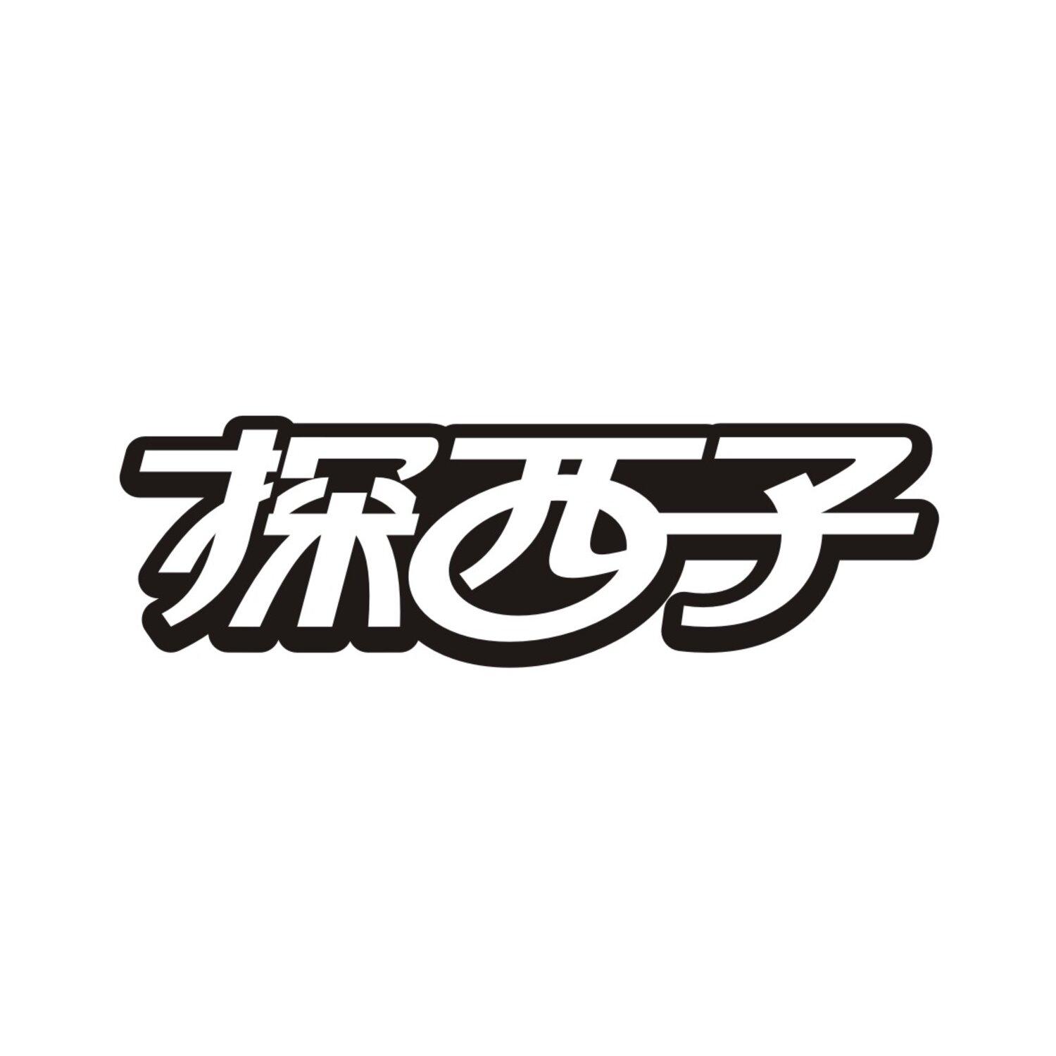 探西子