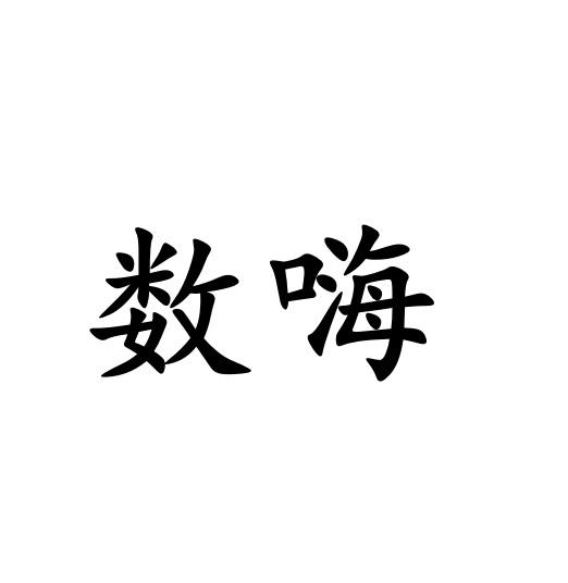数嗨