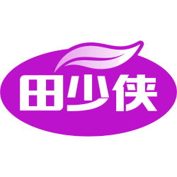 田少侠