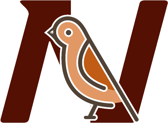 N鸟图形