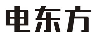 电东方