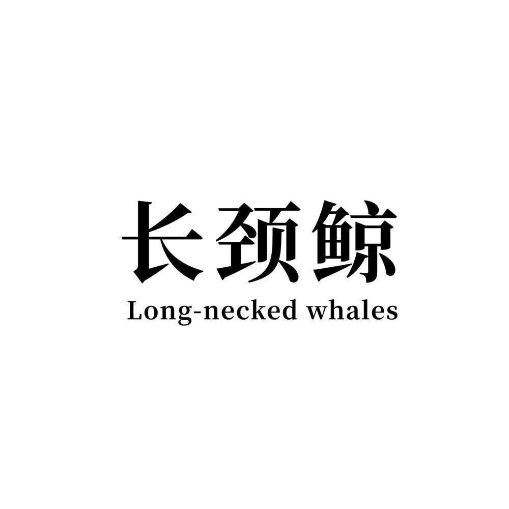 长颈鲸Long necked whales