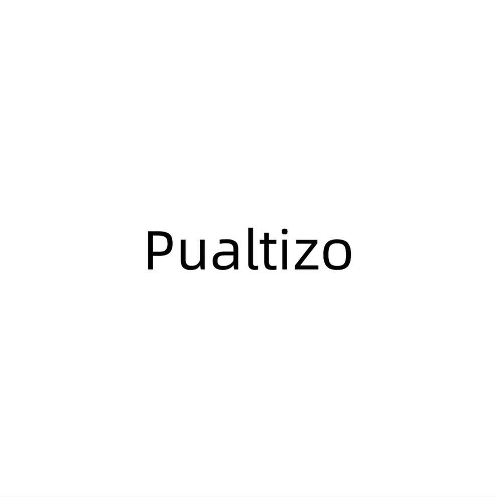 Pualtizo