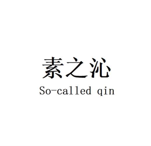 素之沁So-called qin
