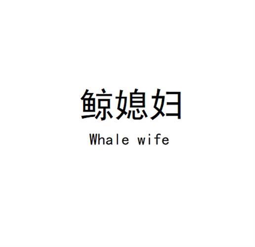 鲸媳妇Whale wife