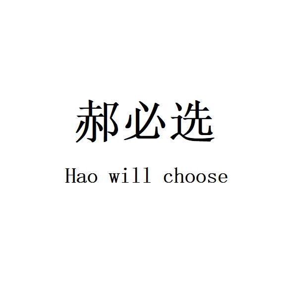 郝必选Hao will choose