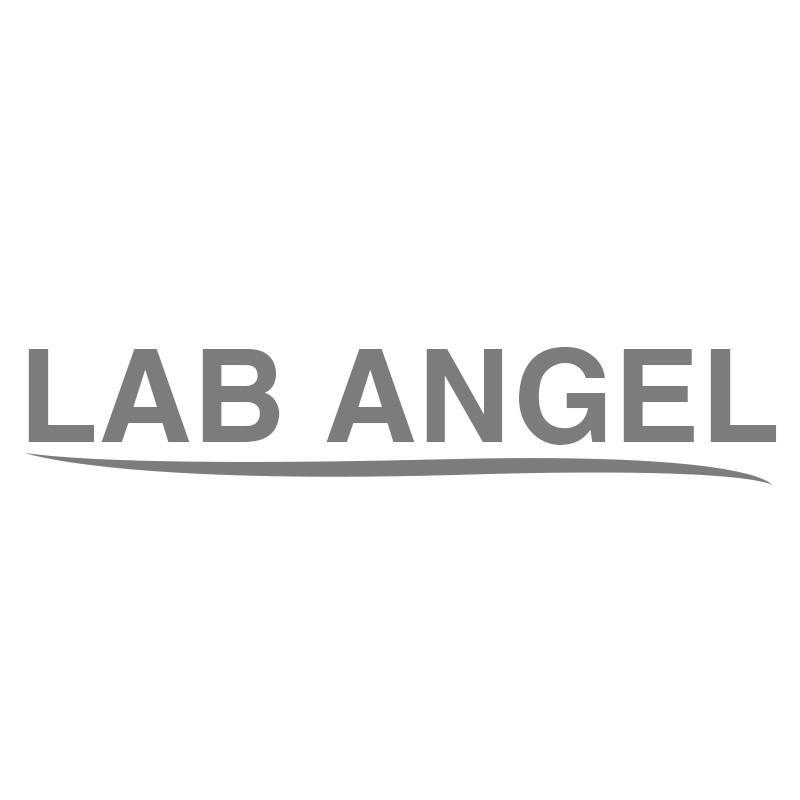 LAB ANGEL