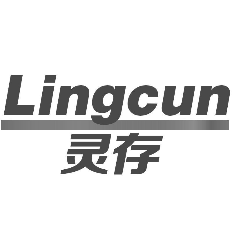 灵存Lingcun