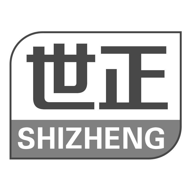 世正SHIZHENG