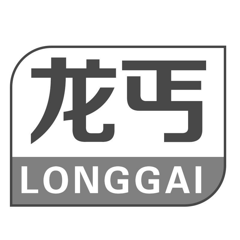 龙丐LONGGAI