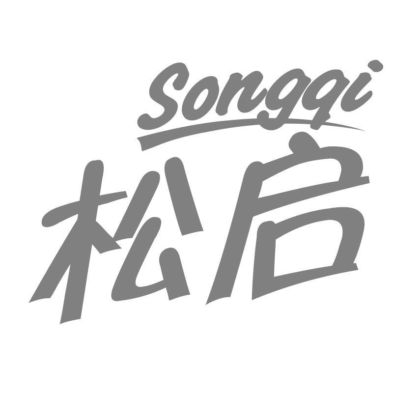 松启Songqi