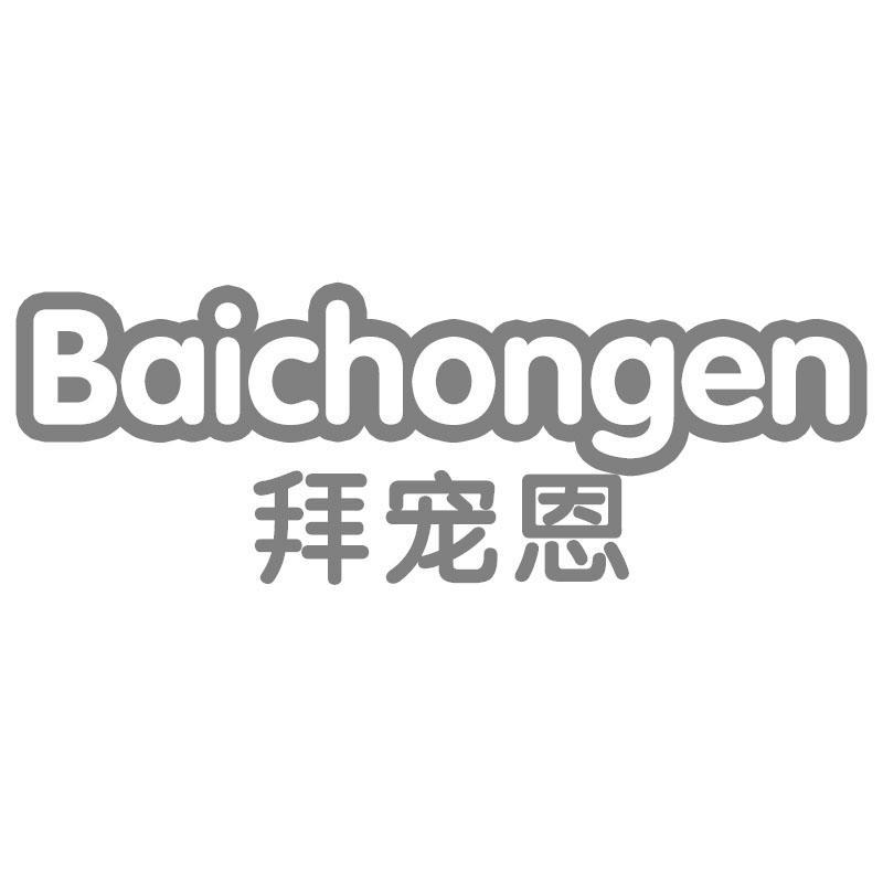 拜宠恩Baichongen