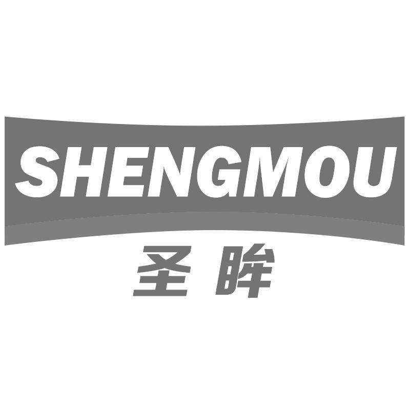 圣眸SHENGMOU