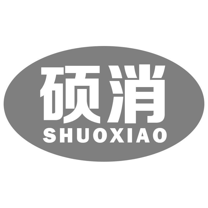 硕消SHUOXIAO