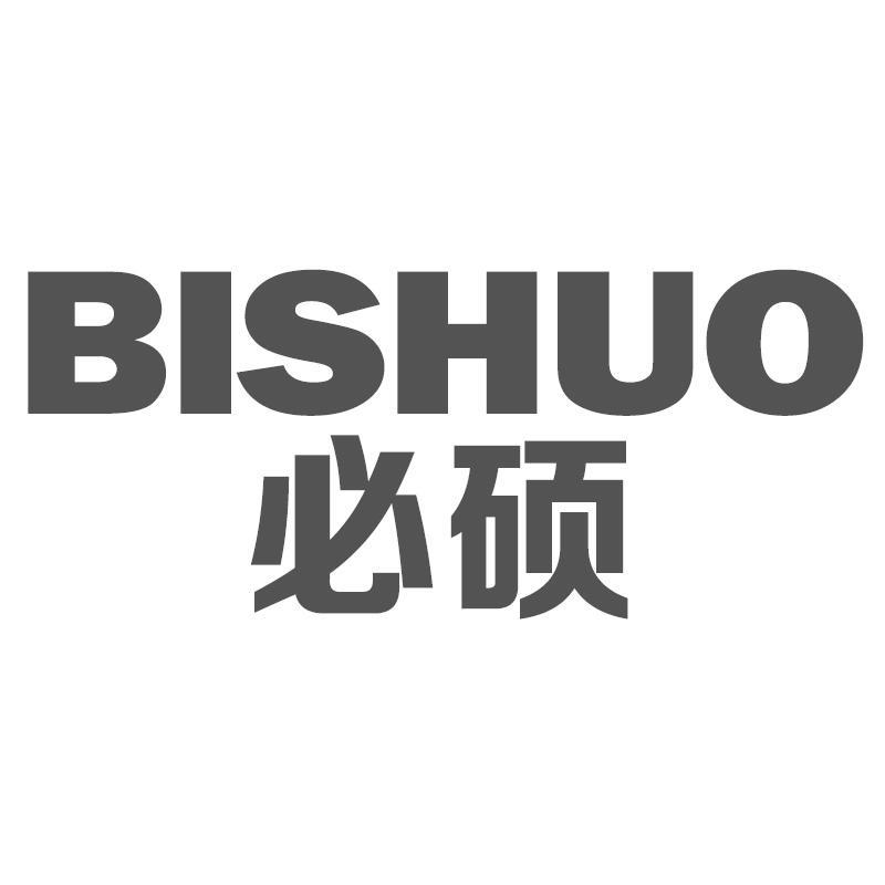 必硕BISHUO