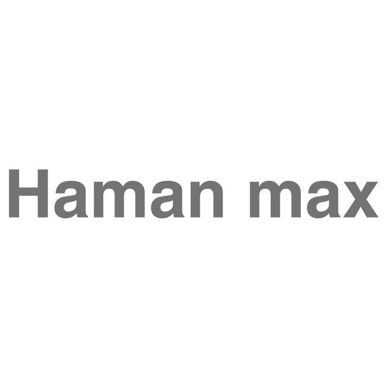 Haman max