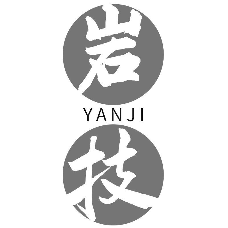 岩技YANJI