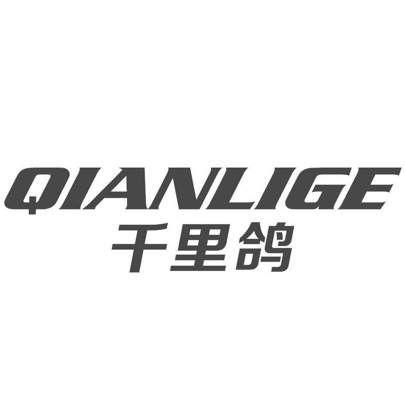 千里鸽QIANLIGE