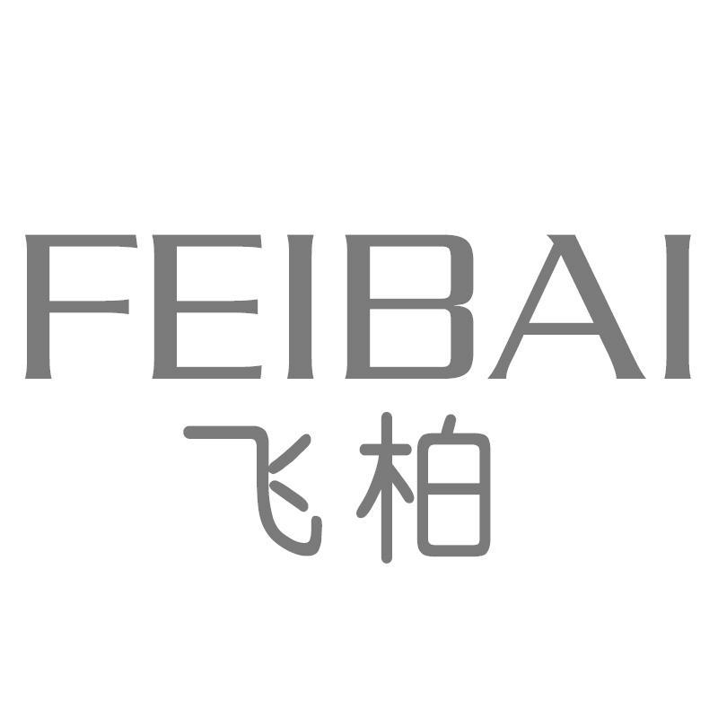 飞柏FEIBAI